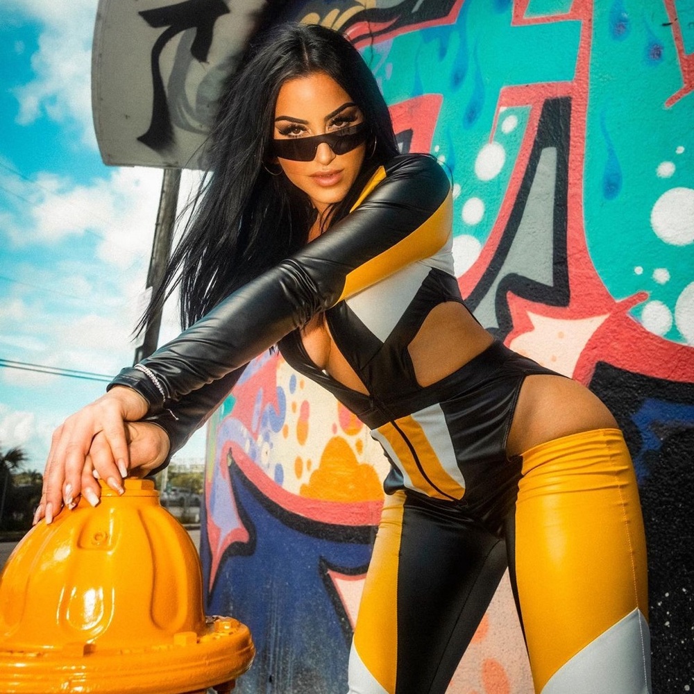 Fashion Nova Race Jumpsuit